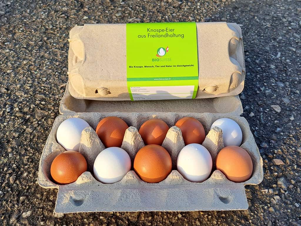 Eier 10 Stück