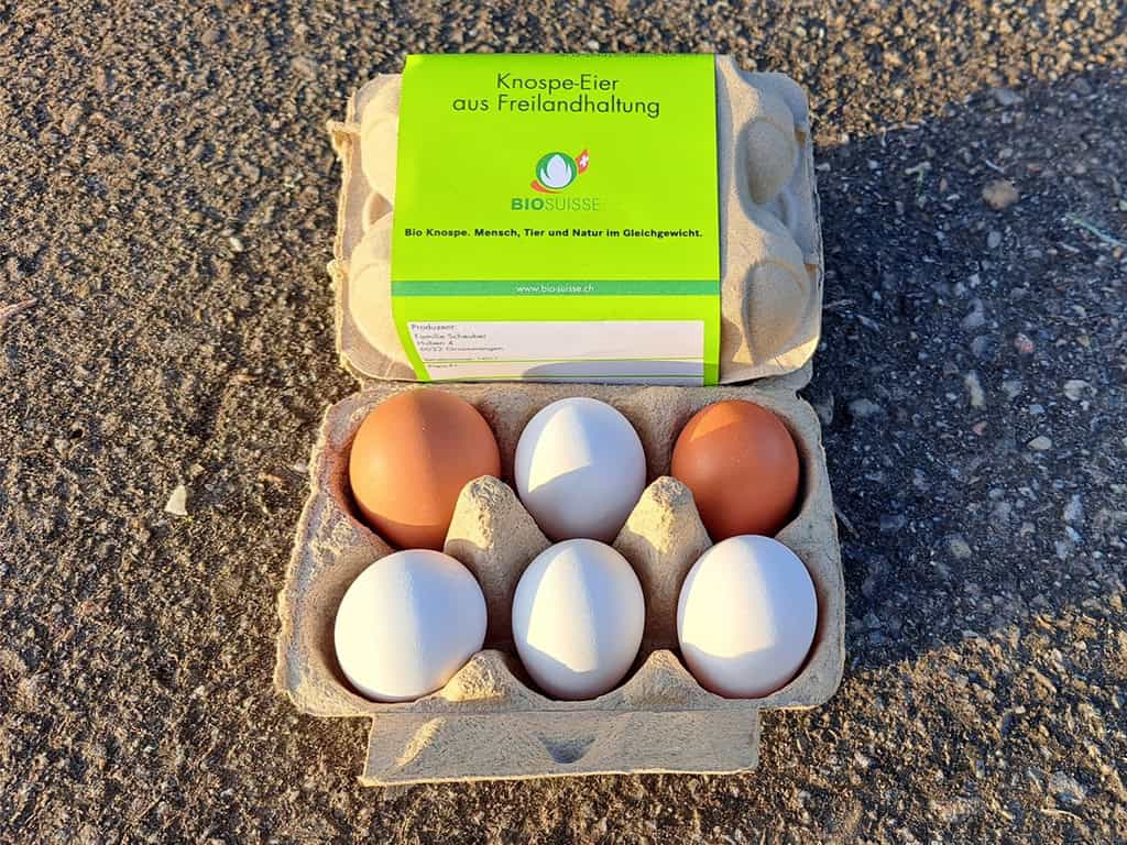 Eier 6 Stück