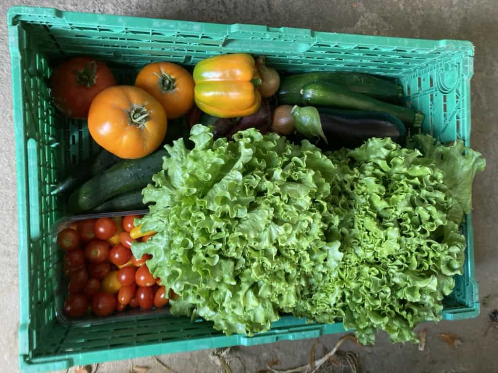 ernteanteil standard sommer