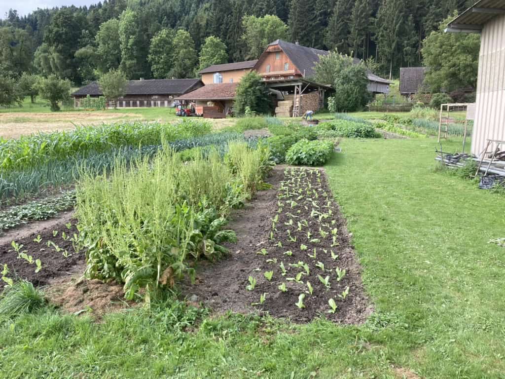 Freiland Ettiswil
