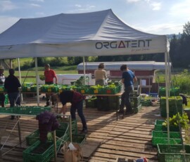 2022, packen ernteanteile