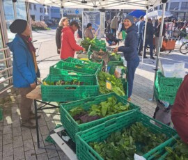 2023, markt in emmenbrücke